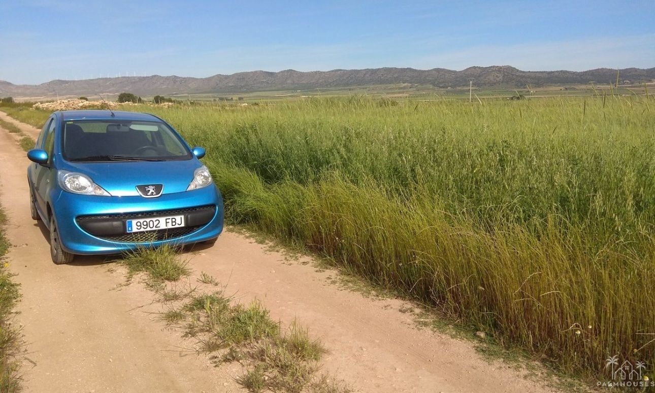 Venta - Plot - Yecla - Yecla Centro