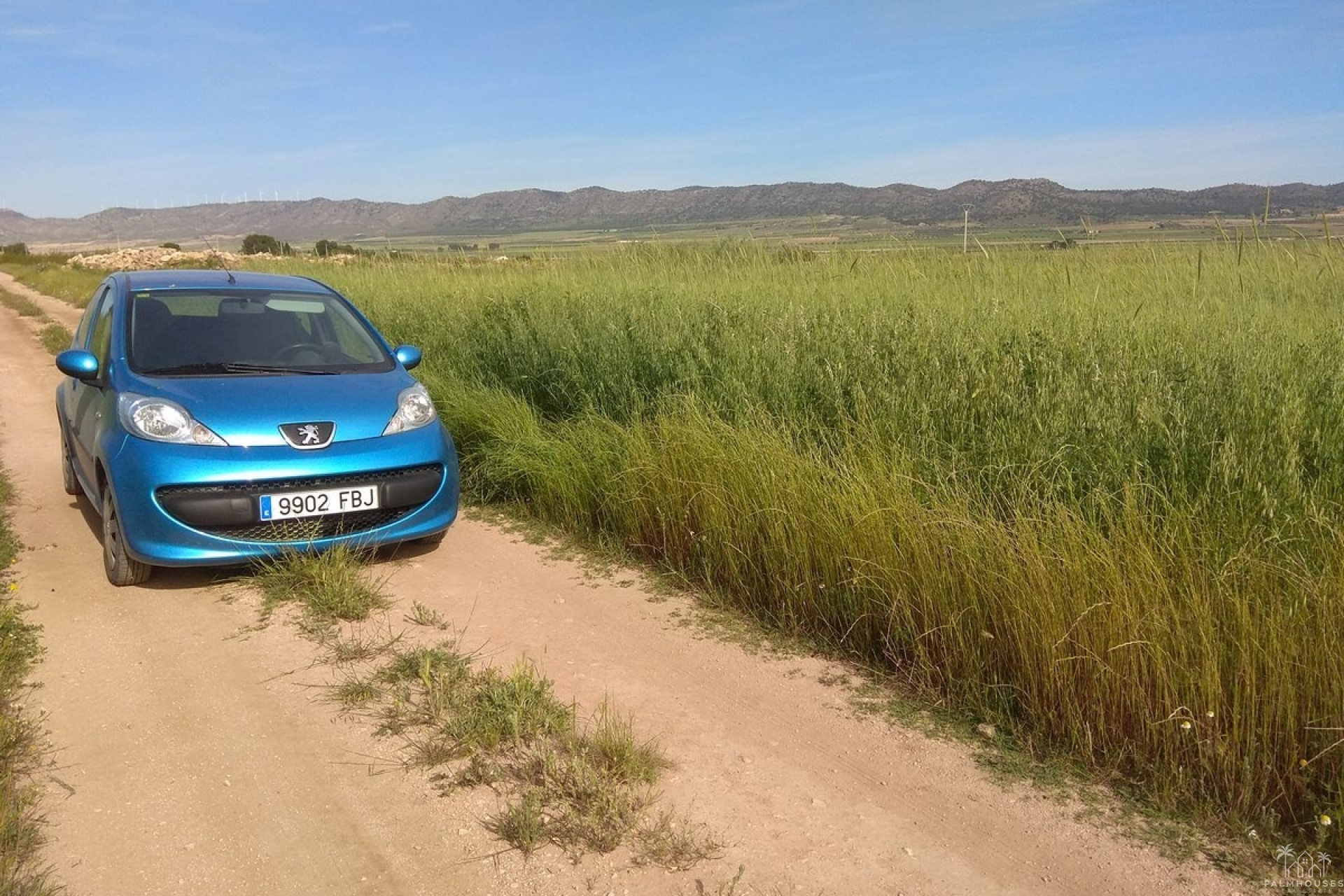 Venta - Plot - Yecla - Yecla Centro