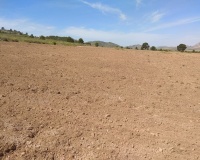 Venta - Plot - Yecla - Yecla Centro
