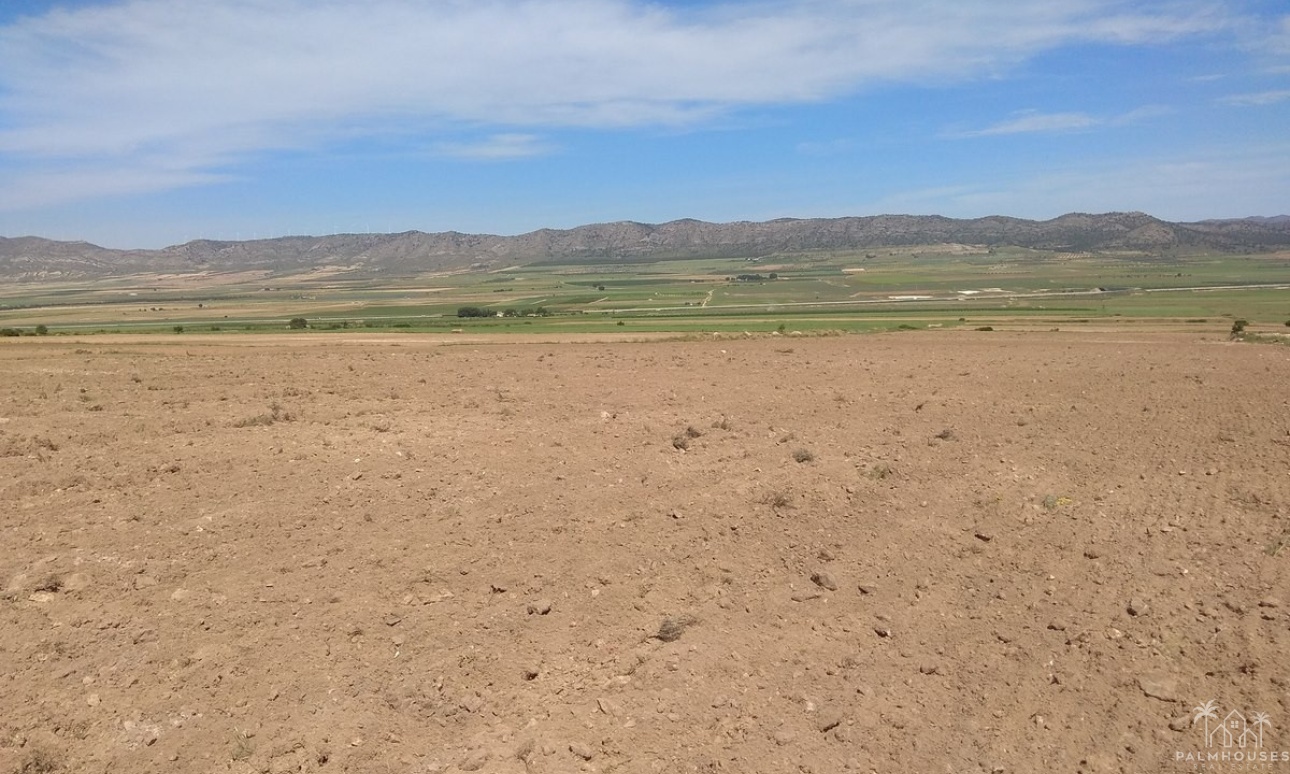 Venta - Plot - Yecla - Yecla Centro