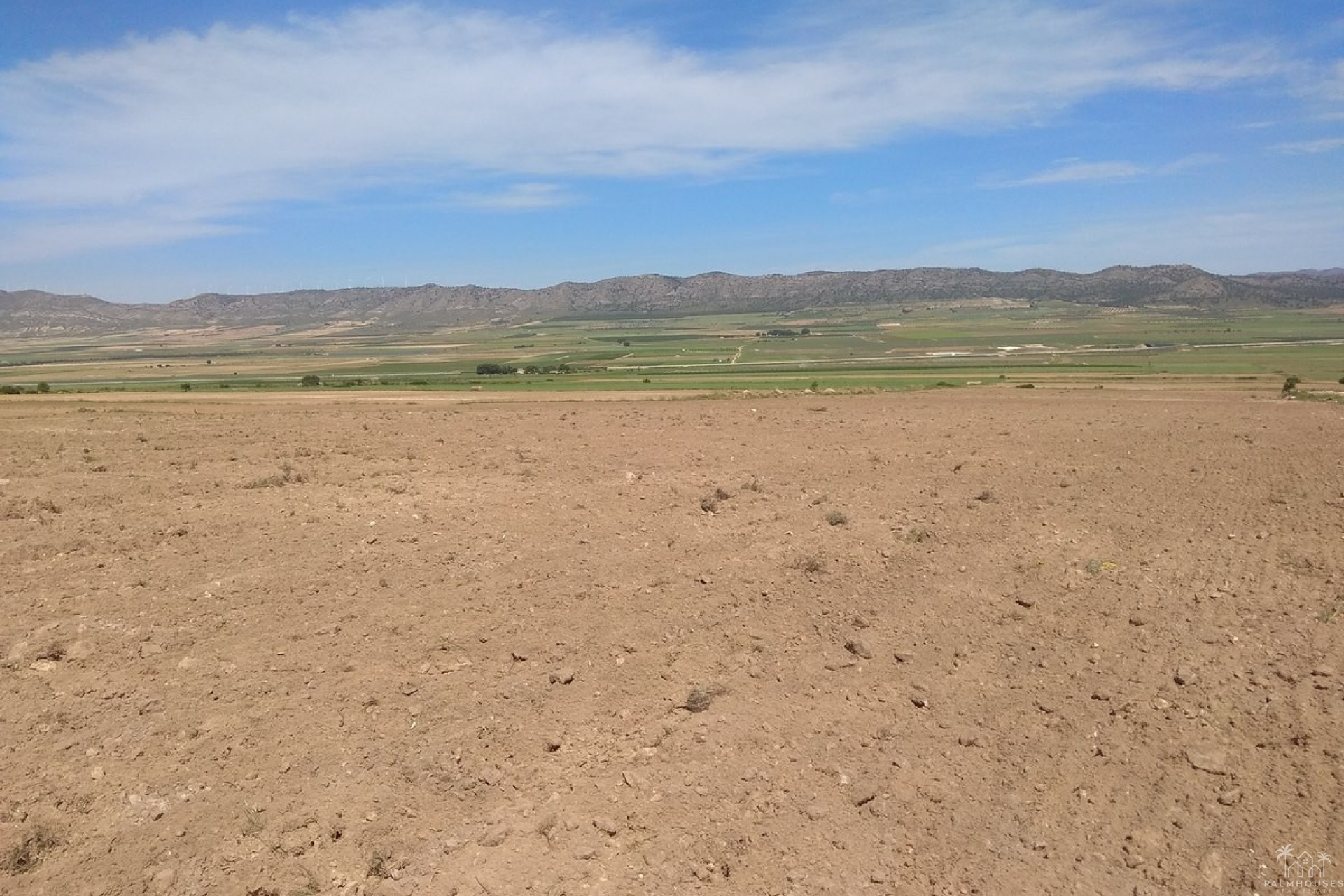 Venta - Plot - Yecla - Yecla Centro