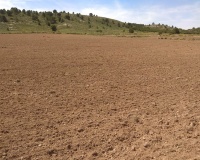 Venta - Plot - Yecla - Yecla Centro