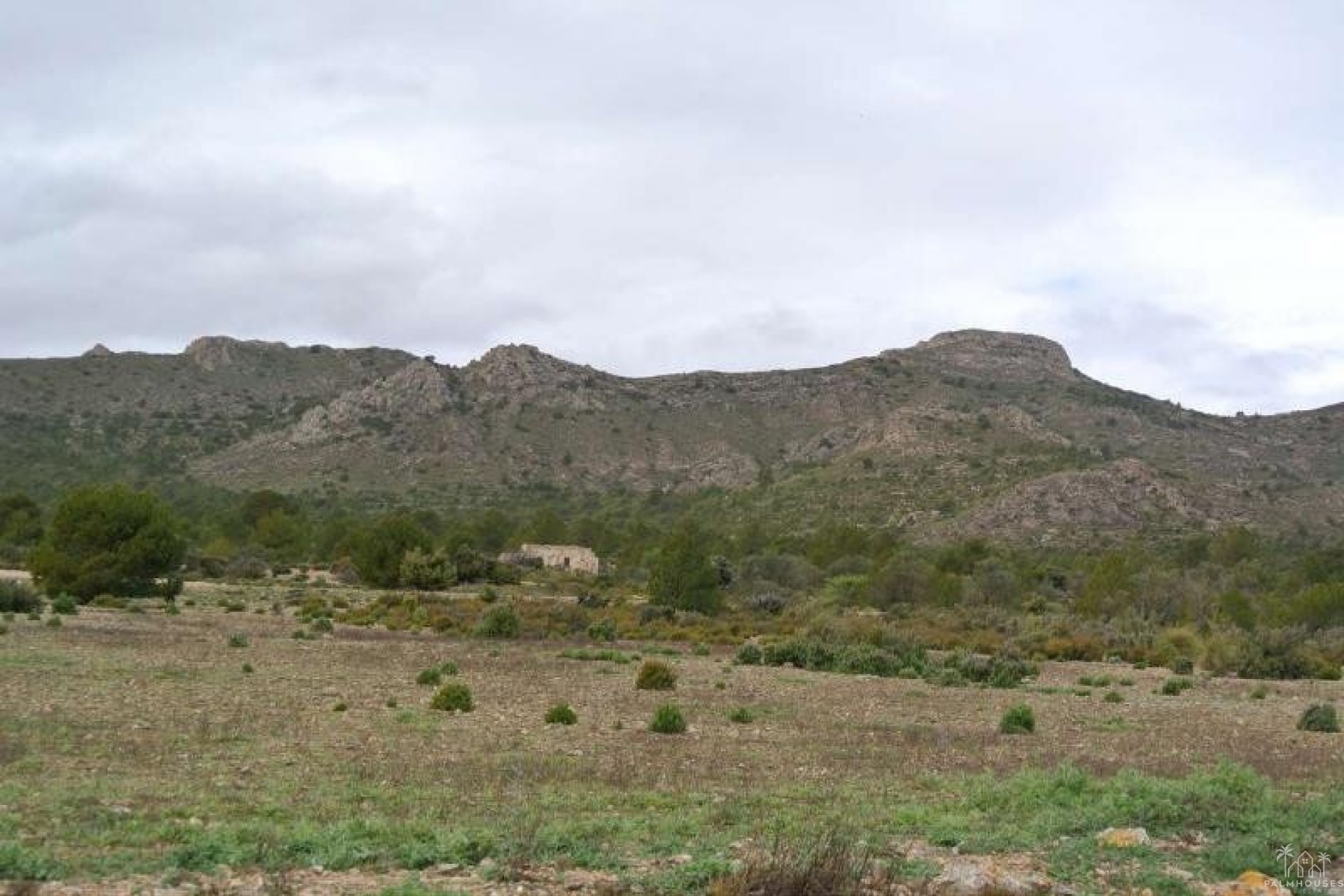 Venta - Plot - Yecla - Yecla Centro