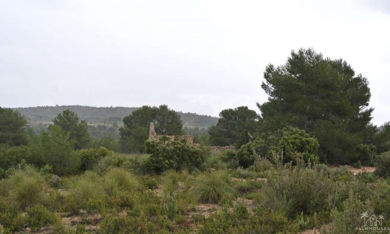 Venta - Plot - Yecla - Yecla Centro