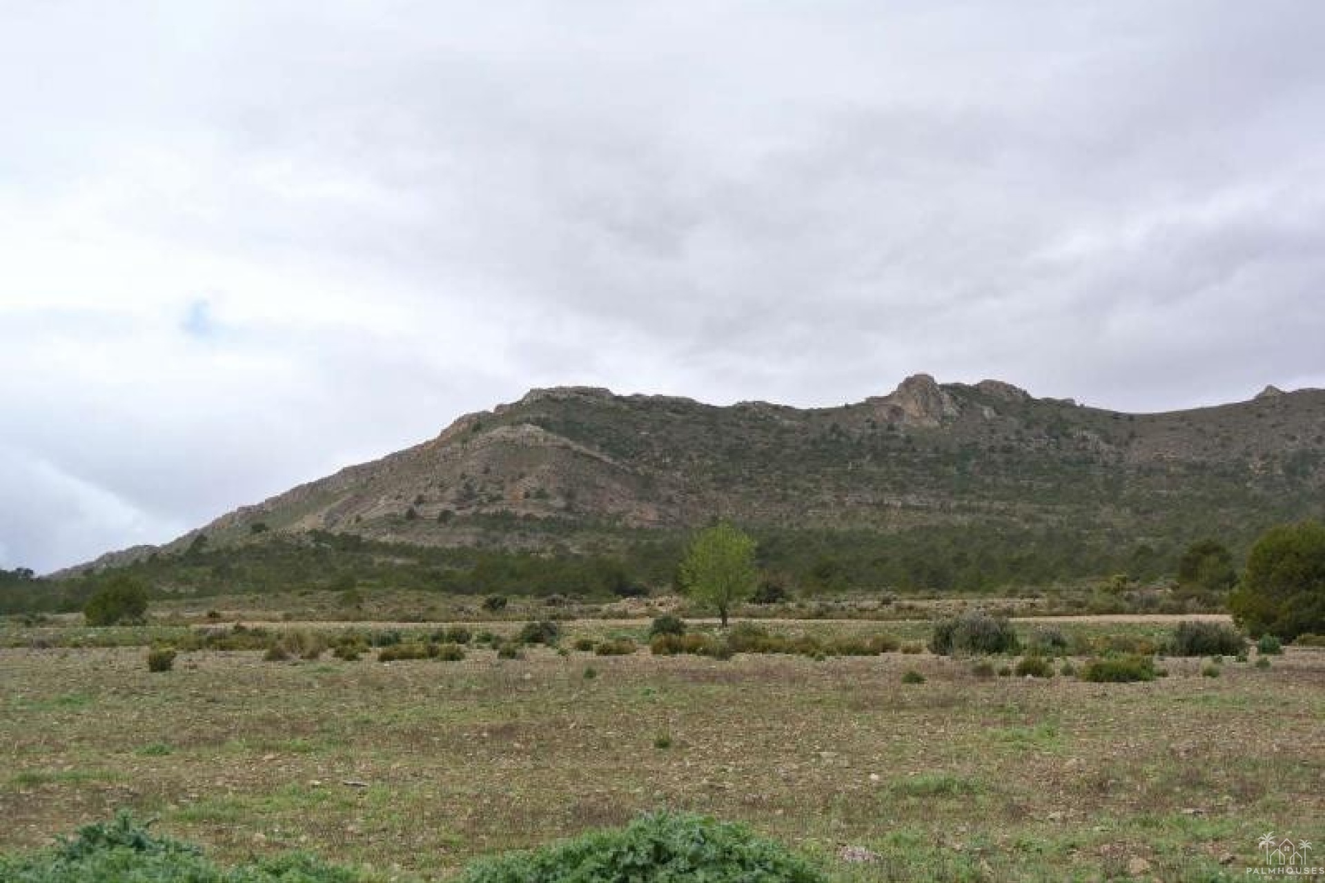 Venta - Plot - Yecla - Yecla Centro