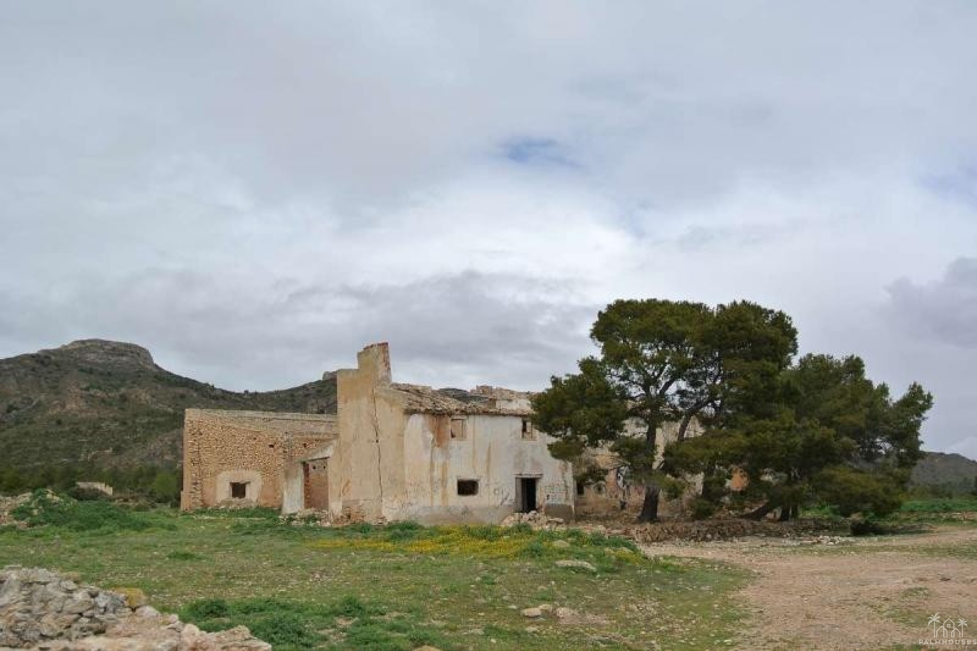 Venta - Plot - Yecla - Yecla Centro
