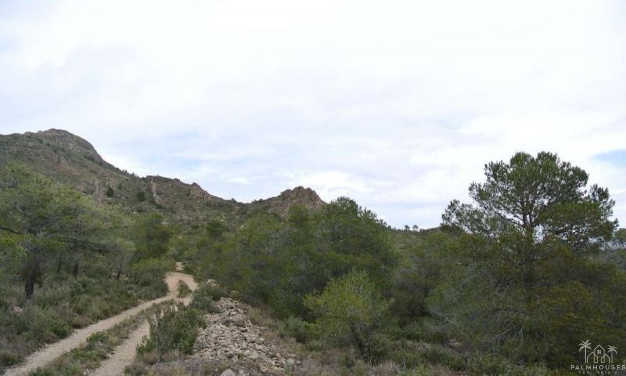 Venta - Plot - Yecla - Yecla Centro