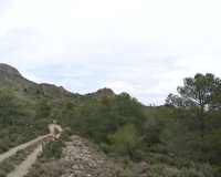 Venta - Plot - Yecla - Yecla Centro