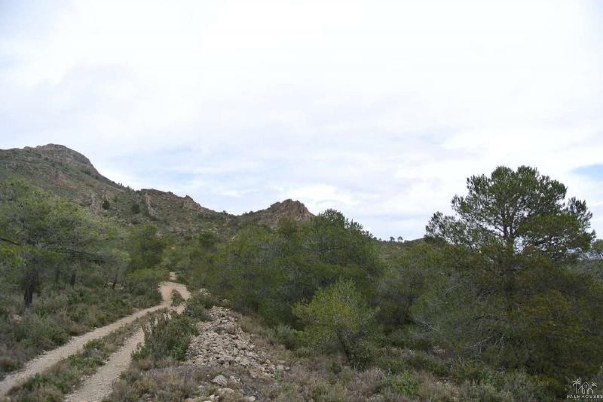 Venta - Plot - Yecla - Yecla Centro
