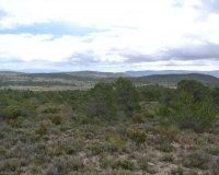 Venta - Plot - Yecla - Yecla Centro
