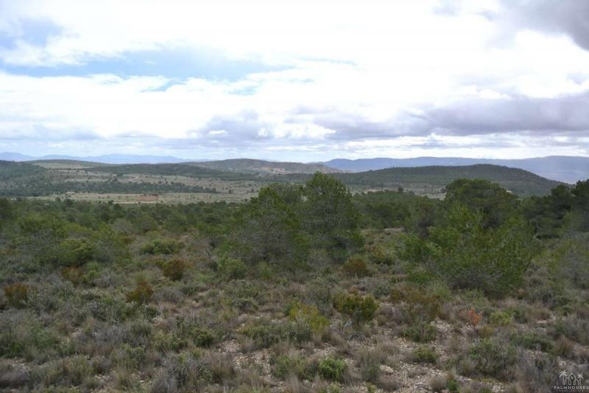 Venta - Plot - Yecla - Yecla Centro