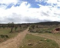 Venta - Plot - Yecla - Yecla Centro