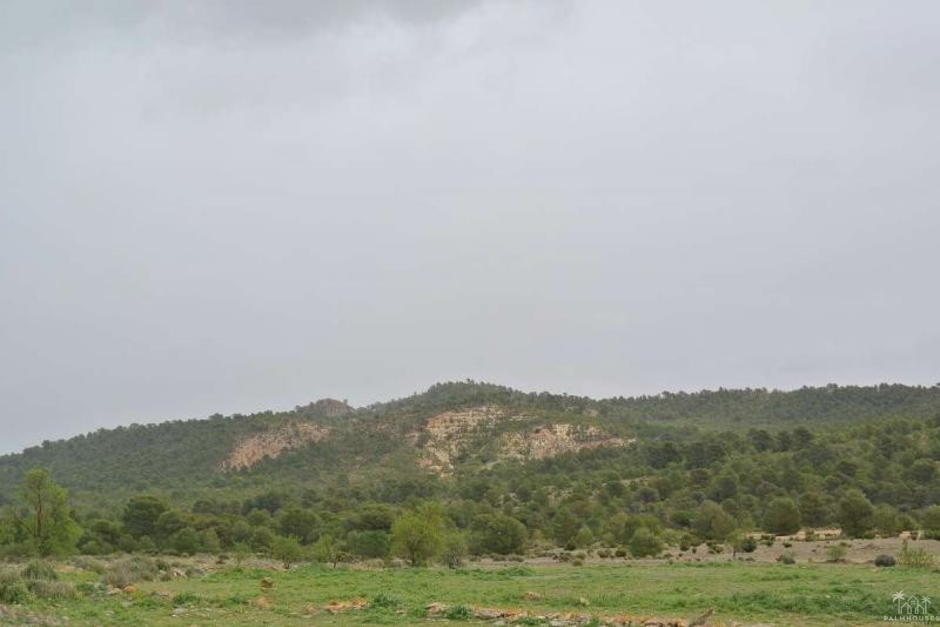 Venta - Plot - Yecla - Yecla Centro