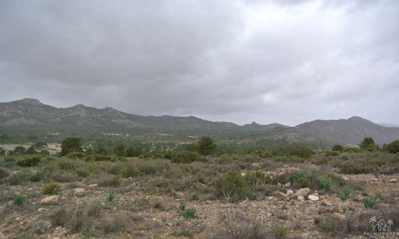Venta - Plot - Yecla - Yecla Centro