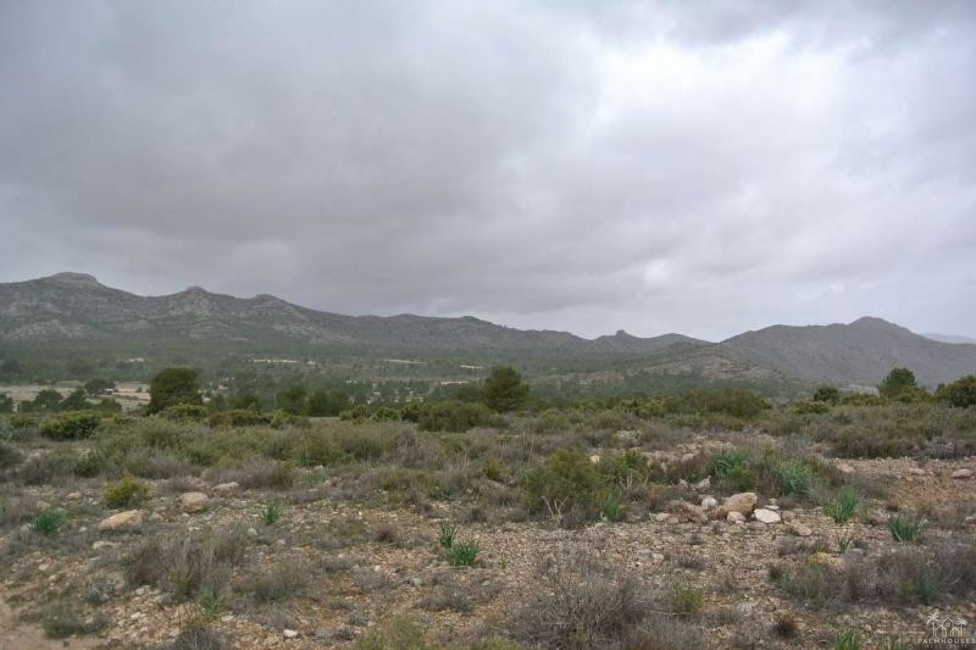 Venta - Plot - Yecla - Yecla Centro