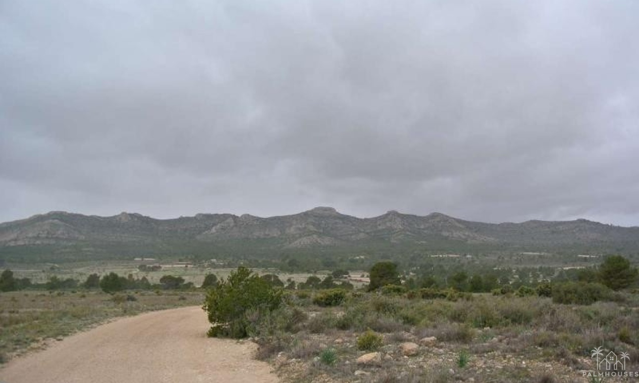 Venta - Plot - Yecla - Yecla Centro