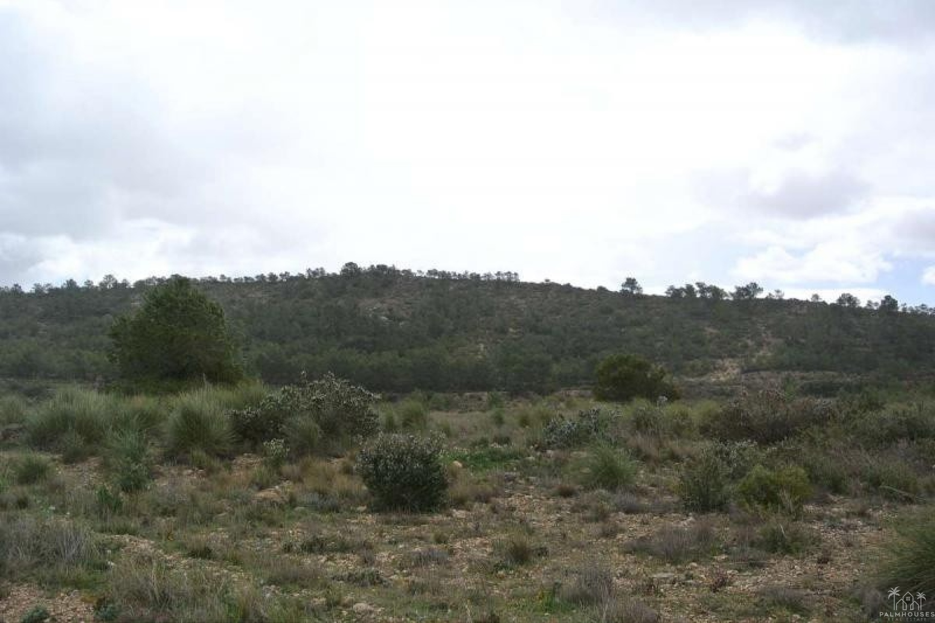 Venta - Plot - Yecla - Yecla Centro