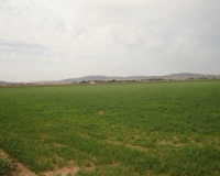 Venta - Plot - Yecla - Yecla Centro