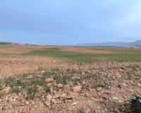Venta - Plot - Yecla - Yecla Centro