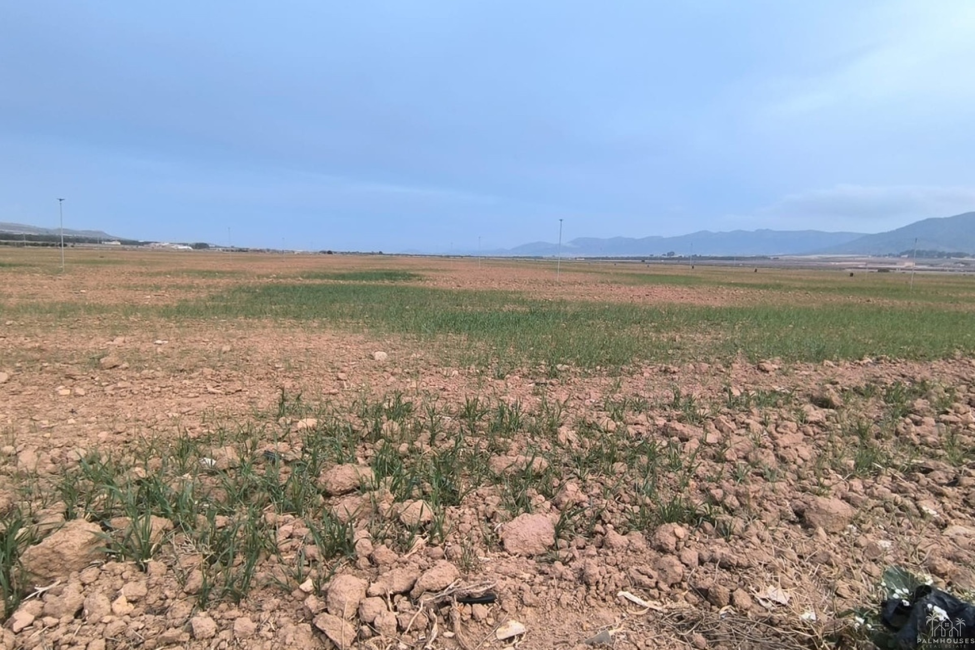 Venta - Plot - Yecla - Yecla Centro