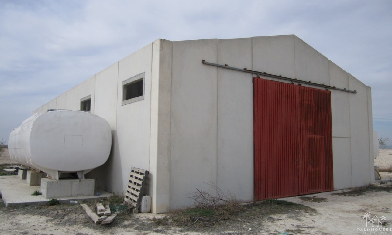 Venta - Plot - Yecla - Yecla Centro