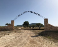 Venta - Plot - Yecla - Yecla Centro