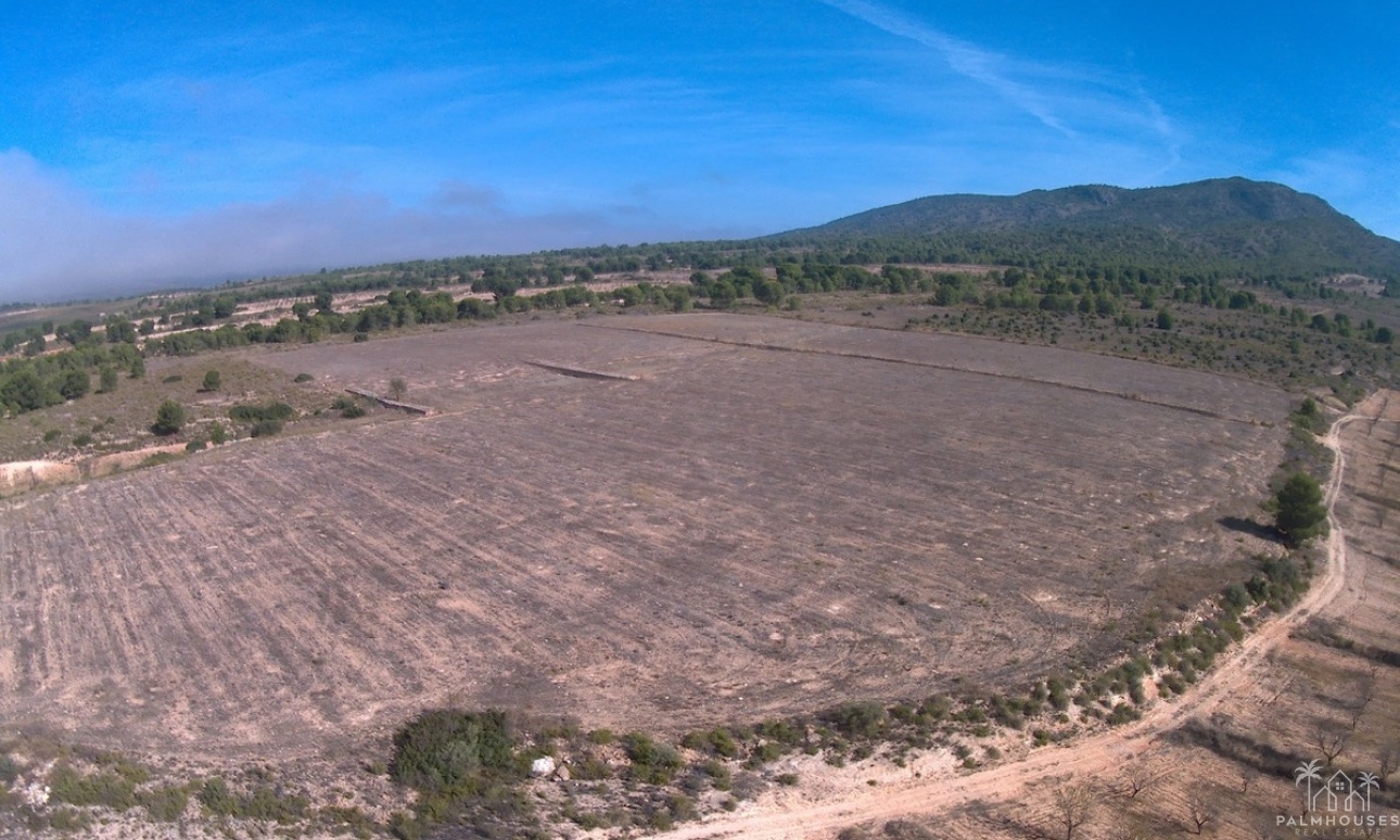 Venta - Plot - Yecla - Yecla Centro