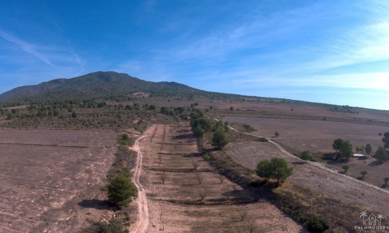 Venta - Plot - Yecla - Yecla Centro
