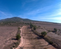 Venta - Plot - Yecla - Yecla Centro