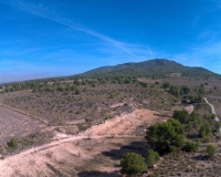 Venta - Plot - Yecla - Yecla Centro