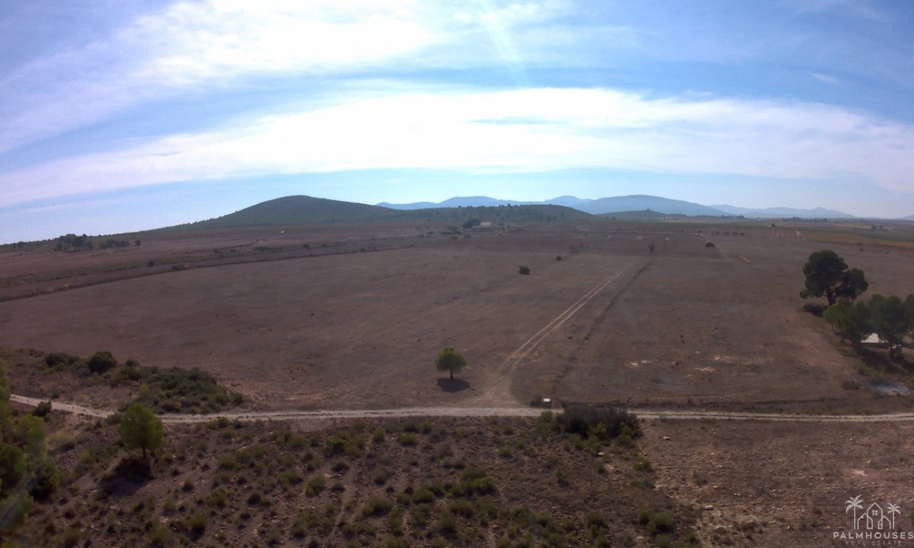 Venta - Plot - Yecla - Yecla Centro