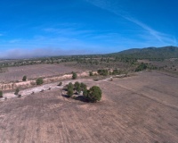 Venta - Plot - Yecla - Yecla Centro