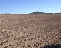 Venta - Plot - Yecla - Yecla Centro