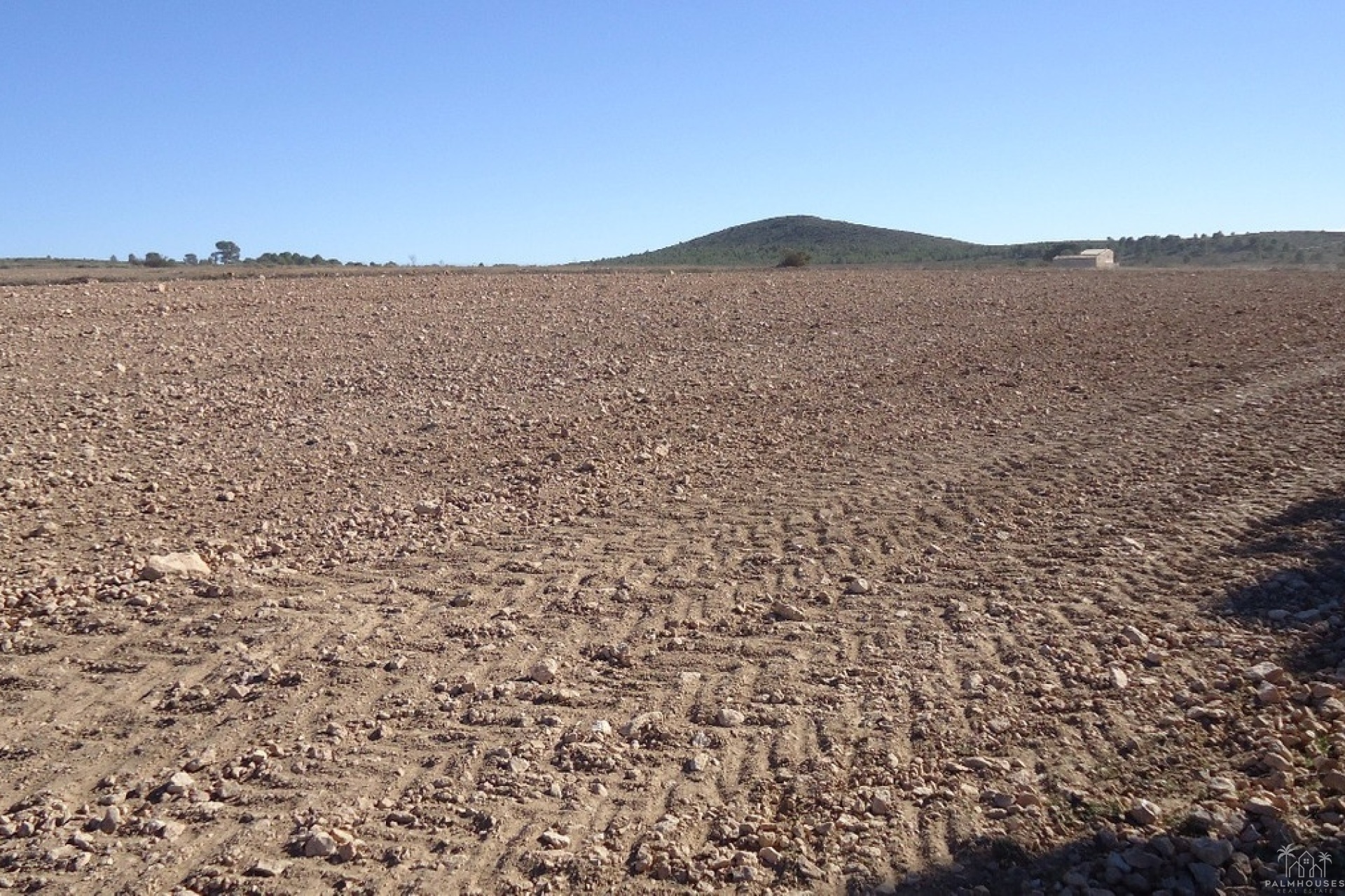 Venta - Plot - Yecla - Yecla Centro
