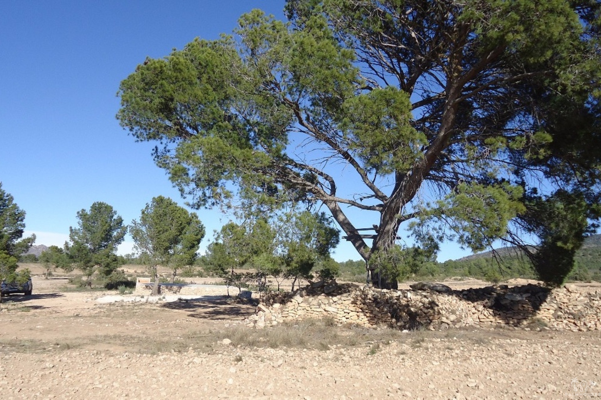 Venta - Plot - Yecla - Yecla Centro
