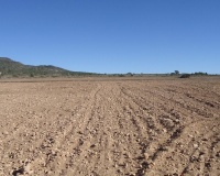 Venta - Plot - Yecla - Yecla Centro
