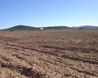 Venta - Plot - Yecla - Yecla Centro