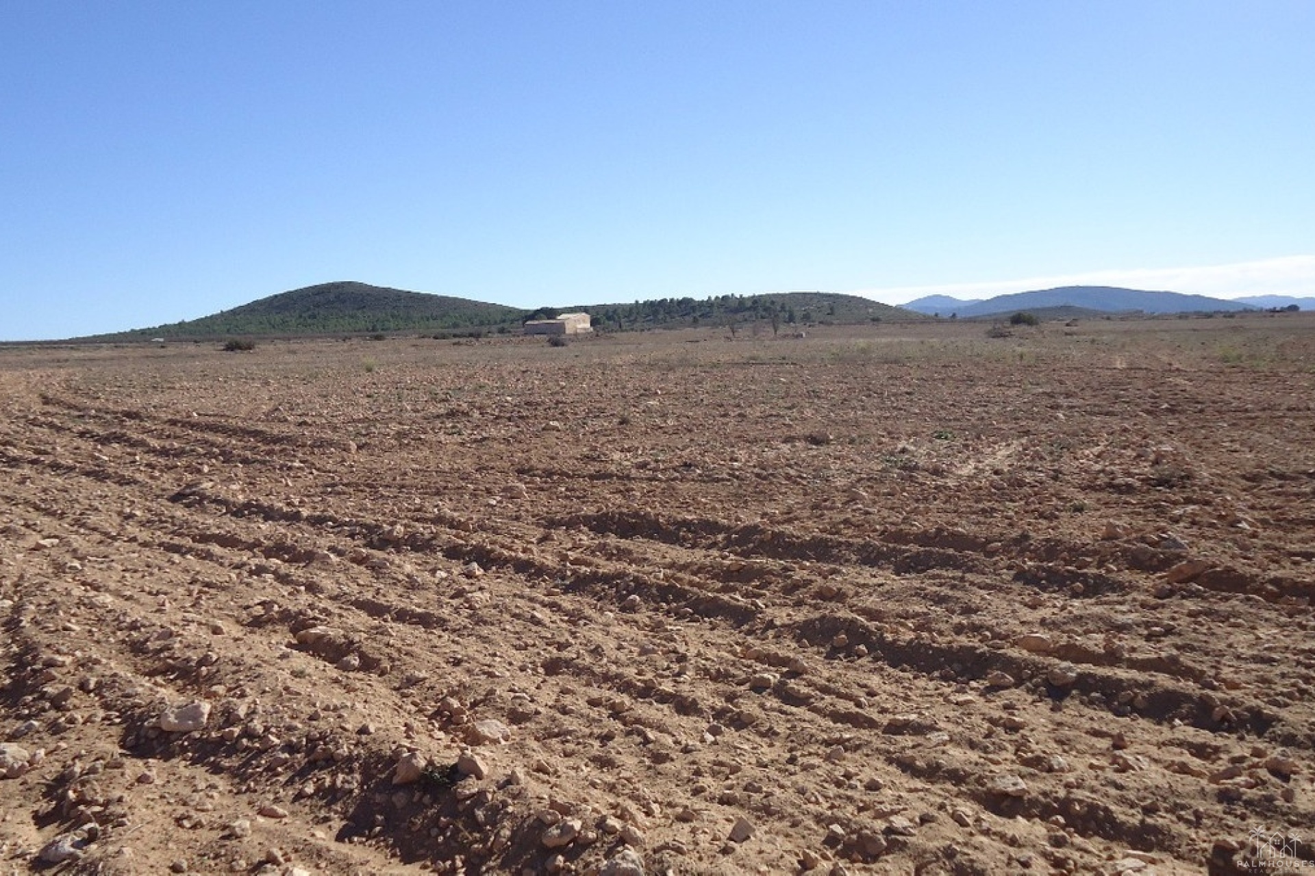 Venta - Plot - Yecla - Yecla Centro