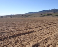 Venta - Plot - Yecla - Yecla Centro
