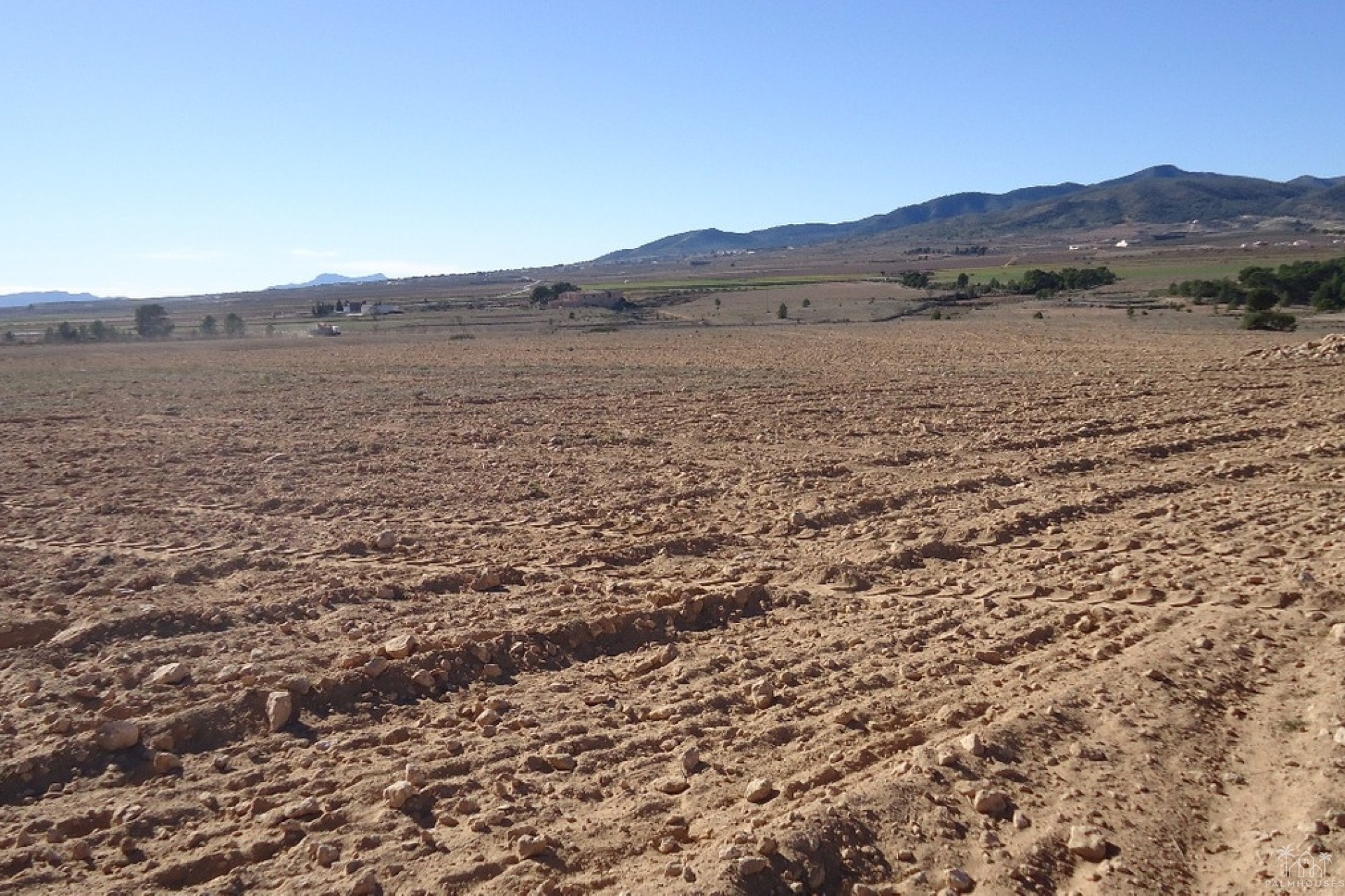 Venta - Plot - Yecla - Yecla Centro