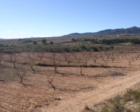 Venta - Plot - Yecla - Yecla Centro