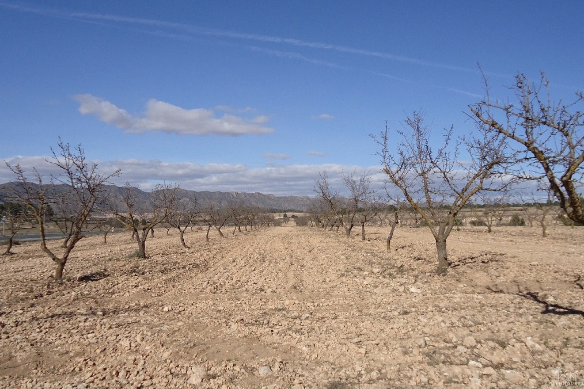 Venta - Plot - Yecla - Yecla Centro