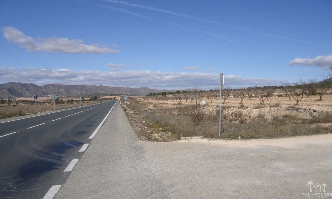 Venta - Plot - Yecla - Yecla Centro