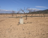 Venta - Plot - Yecla - Yecla Centro