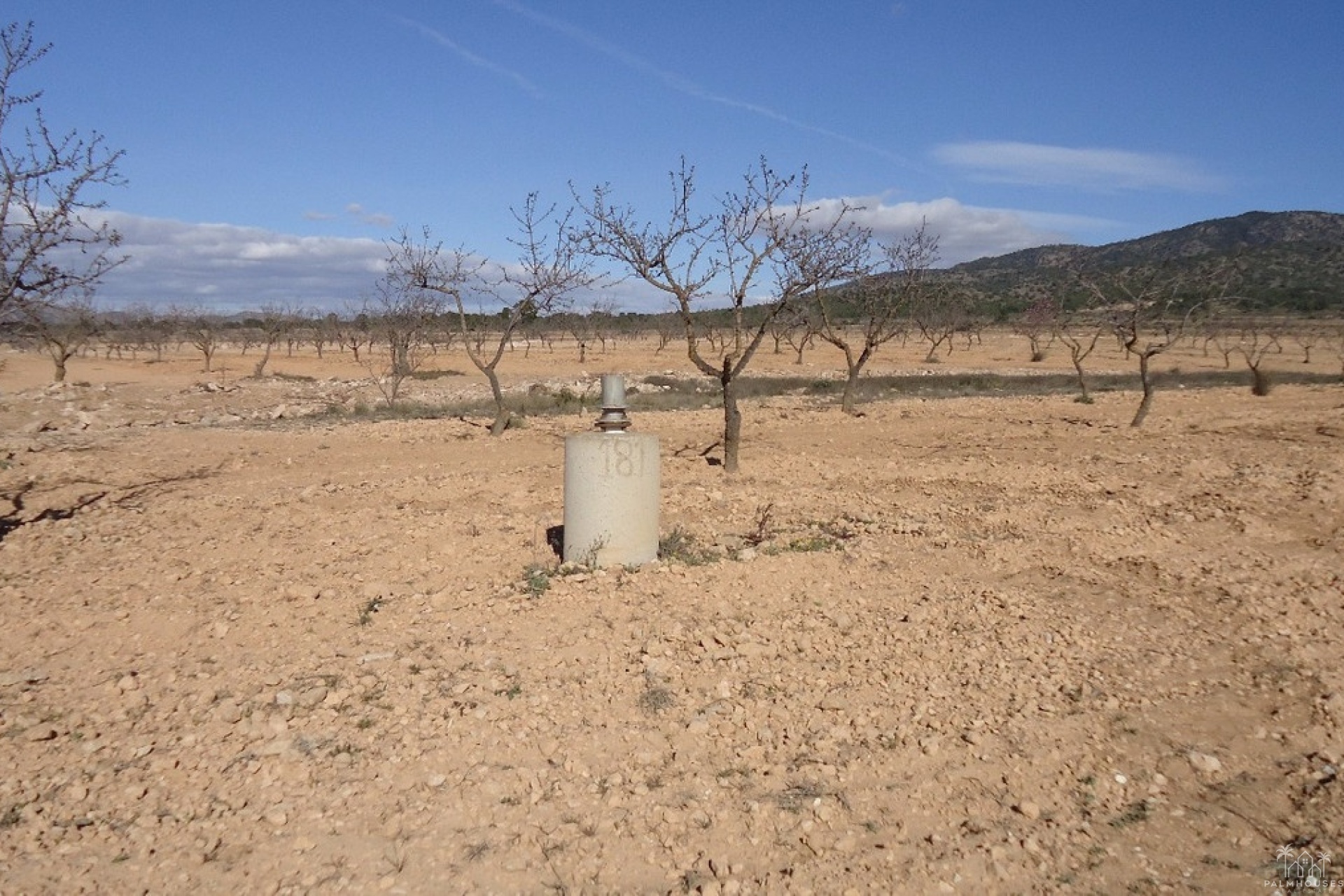 Venta - Plot - Yecla - Yecla Centro