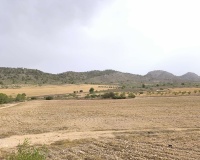 Venta - Plot - Yecla - Yecla Centro