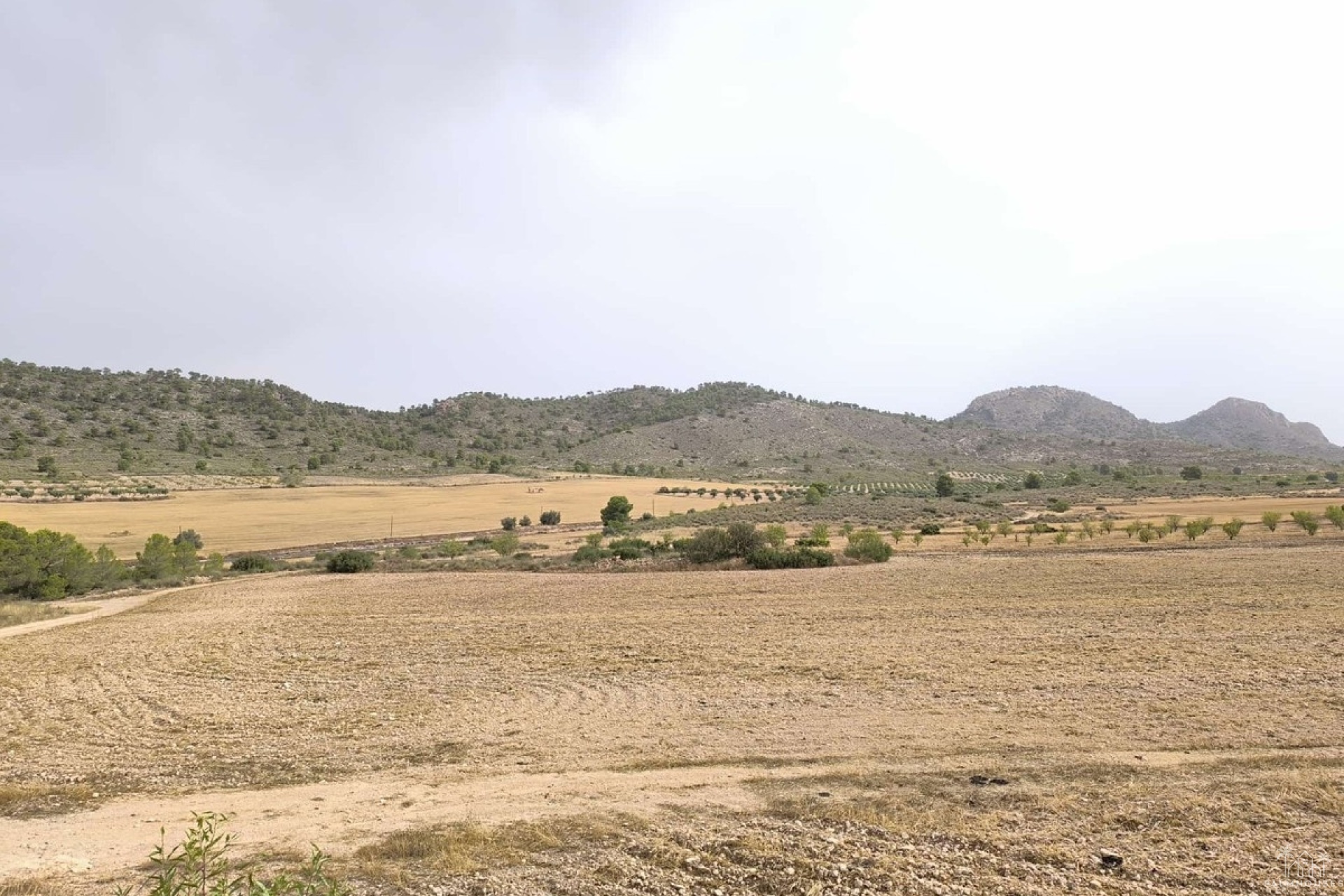 Venta - Plot - Yecla - Yecla Centro