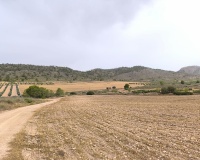 Venta - Plot - Yecla - Yecla Centro