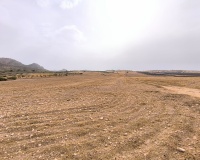 Venta - Plot - Yecla - Yecla Centro