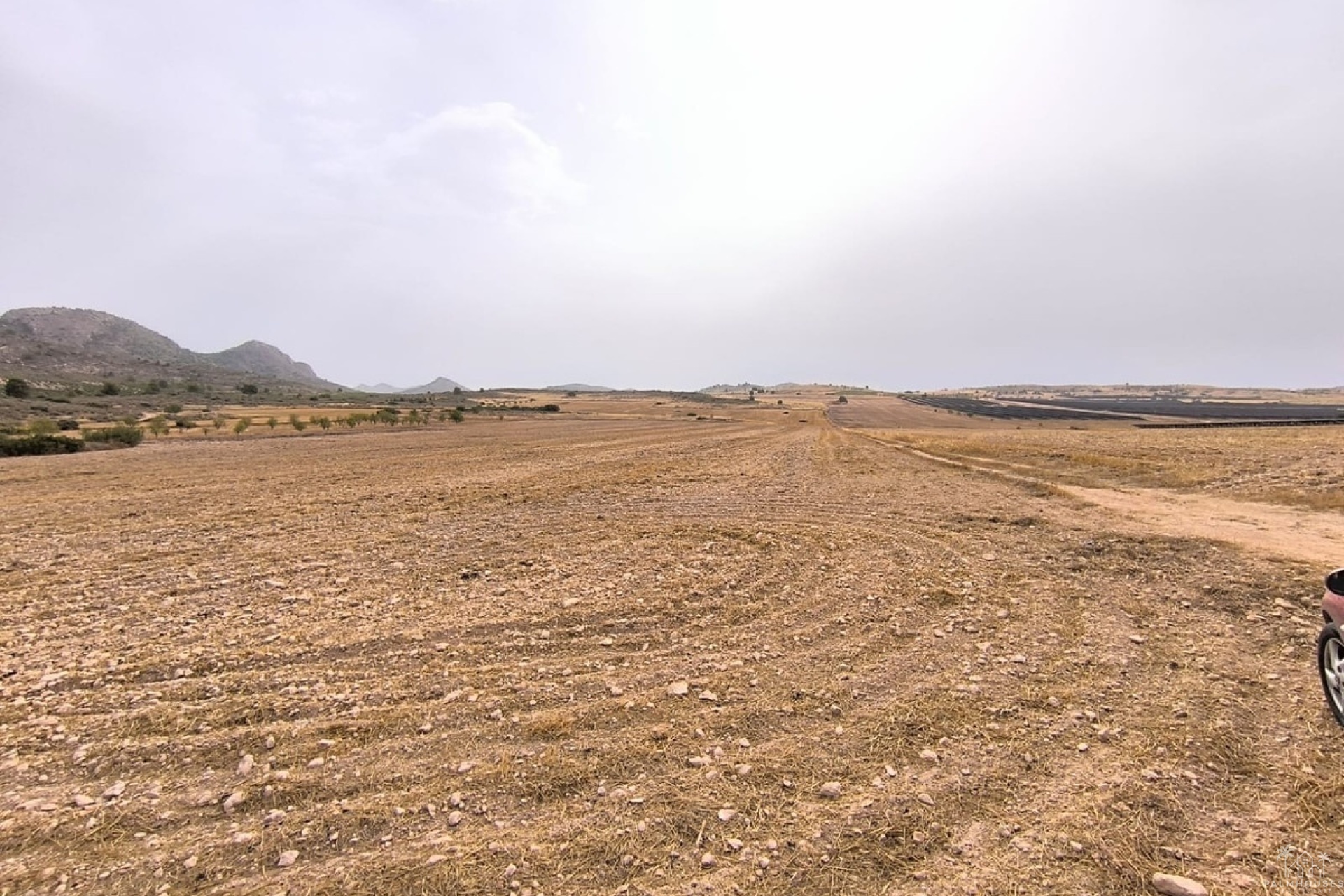 Venta - Plot - Yecla - Yecla Centro